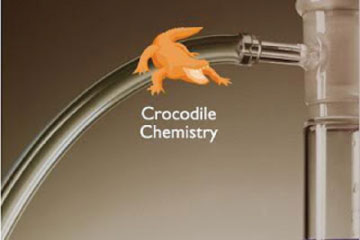 Download Portable Crocodile Chemistry - Phản ứng hóa học