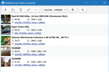 Download MediaHuman Video Converter 1.2.1