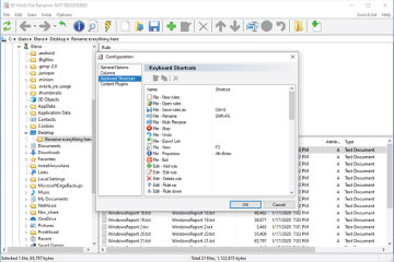 Download EF Multi File Renamer - Công cụ đổi tên